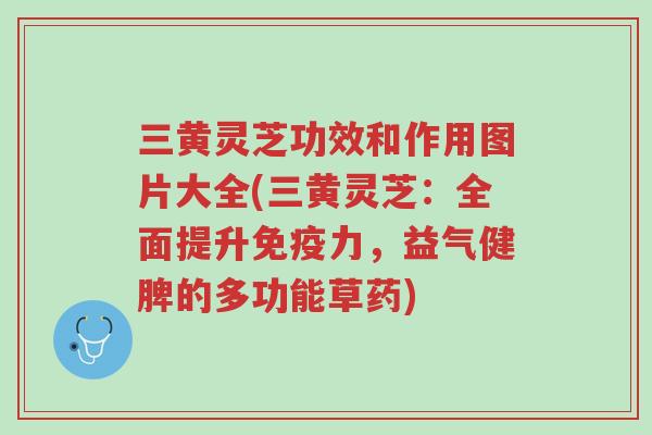 三黄灵芝功效和作用图片大全(三黄灵芝：全面提升免疫力，益气健脾的多功能草药)-第1张图片-超越