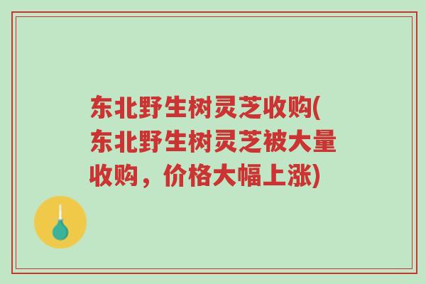 东北野生树灵芝收购(东北野生树灵芝被大量收购,价格大幅上涨)-第1张图片-超越 东北野生树灵芝收购(东北野生树灵芝被大量收购,价格大幅上涨)-第1张图片-超越