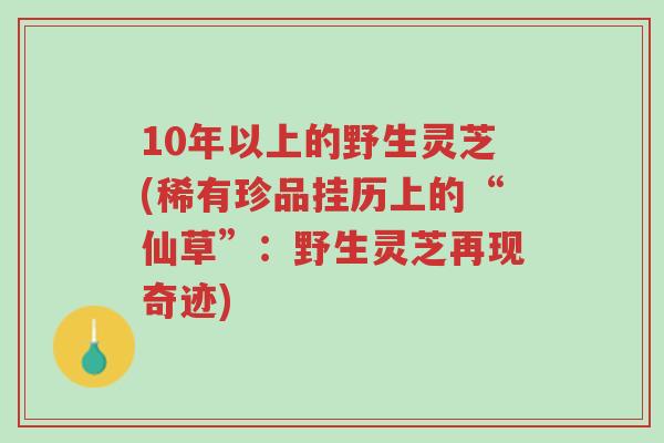 10年以上的野生灵芝(稀有珍品挂历上的“仙草”：野生灵芝再现奇迹)-第1张图片-超越