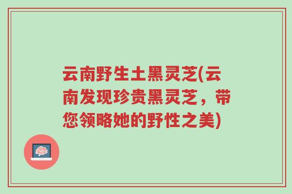 云南野生土黑灵芝(云南发现珍贵黑灵芝,带您领略她的野性之美)-第1张图片-超越 云南野生土黑灵芝(云南发现珍贵黑灵芝,带您领略她的野性之美)-第1张图片-超越
