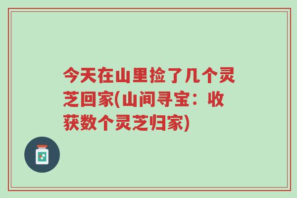 今天在山里捡了几个灵芝回家(山间寻宝:收获数个灵芝归家)-第1张图片-超越 今天在山里捡了几个灵芝回家(山间寻宝:收获数个灵芝归家)-第1张图片-超越