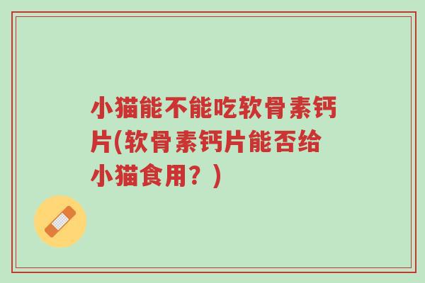 小猫能不能吃软骨素钙片(软骨素钙片能否给小猫食用?)-第1张图片-超越 小猫能不能吃软骨素钙片(软骨素钙片能否给小猫食用?)-第1张图片-超越