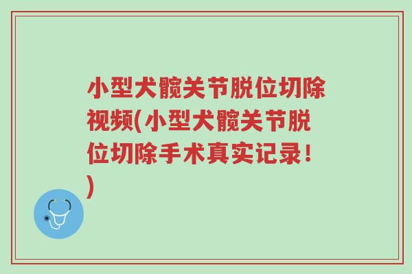 小型犬髋关节脱位切除视频(小型犬髋关节脱位切除手术真实记录!)-第1张图片-超越 小型犬髋关节脱位切除视频(小型犬髋关节脱位切除手术真实记录!)-第1张图片-超越