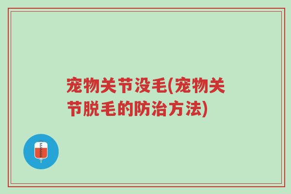 宠物关节没毛(宠物关节脱毛的防治方法)-第1张图片-超越 宠物关节没毛(宠物关节脱毛的防治方法)-第1张图片-超越