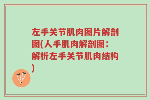 左手关节肌肉图片解剖图(人手肌肉解剖图：解析左手关节肌肉结构)-第1张图片-超越