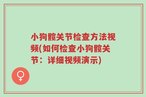 小狗髋关节检查方法视频(如何检查小狗髋关节:详细视频演示)-第1张图片-超越 小狗髋关节检查方法视频(如何检查小狗髋关节:详细视频演示)-第1张图片-超越