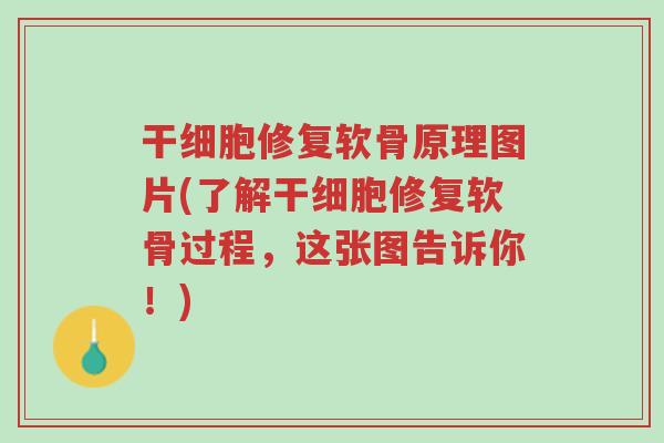 干细胞修复软骨原理图片(了解干细胞修复软骨过程,这张图告诉你!)-第1张图片-超越 干细胞修复软骨原理图片(了解干细胞修复软骨过程,这张图告诉你!)-第1张图片-超越