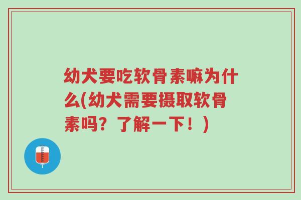 幼犬要吃软骨素嘛为什么(幼犬需要摄取软骨素吗?了解一下!)-第1张图片-超越 幼犬要吃软骨素嘛为什么(幼犬需要摄取软骨素吗?了解一下!)-第1张图片-超越
