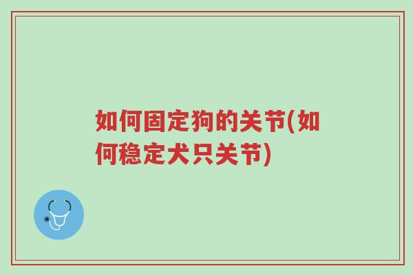 如何固定狗的关节(如何稳定犬只关节)-第1张图片-超越 如何固定狗的关节(如何稳定犬只关节)-第1张图片-超越