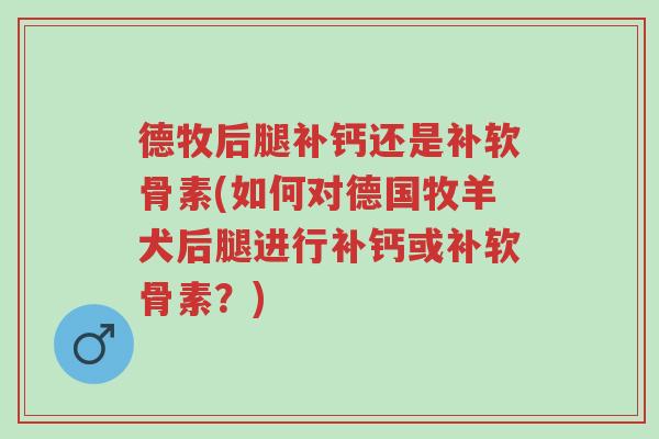 德牧后腿补钙还是补软骨素(如何对德国牧羊犬后腿进行补钙或补软骨素?)-第1张图片-超越 德牧后腿补钙还是补软骨素(如何对德国牧羊犬后腿进行补钙或补软骨素?)-第1张图片-超越