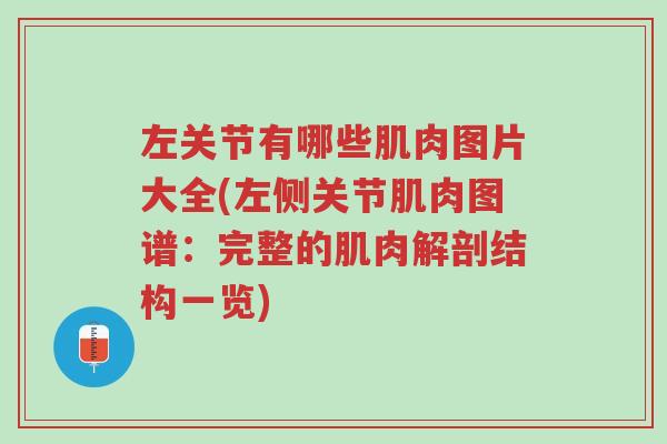 左关节有哪些肌肉图片大全(左侧关节肌肉图谱：完整的肌肉解剖结构一览)-第1张图片-超越