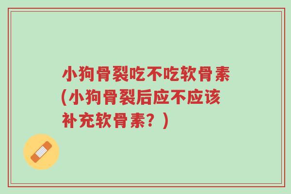 小狗骨裂吃不吃软骨素(小狗骨裂后应不应该补充软骨素?)-第1张图片-超越 小狗骨裂吃不吃软骨素(小狗骨裂后应不应该补充软骨素?)-第1张图片-超越
