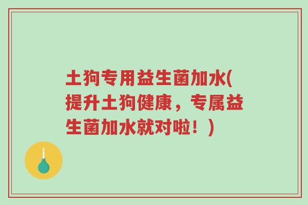 土狗专用益生菌加水(提升土狗健康,专属益生菌加水就对啦!)-第1张图片-超越 土狗专用益生菌加水(提升土狗健康,专属益生菌加水就对啦!)-第1张图片-超越