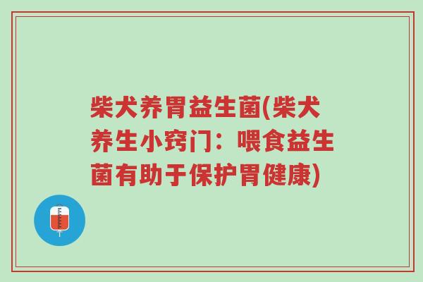 柴犬养胃益生菌(柴犬养生小窍门:喂食益生菌有助于保护胃健康)-第1张图片-超越 柴犬养胃益生菌(柴犬养生小窍门:喂食益生菌有助于保护胃健康)-第1张图片-超越