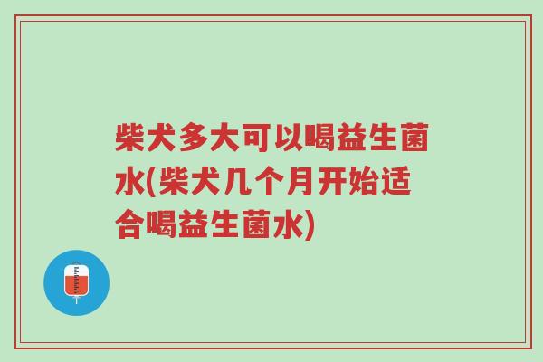 柴犬多大可以喝益生菌水(柴犬几个月开始适合喝益生菌水)-第1张图片-超越