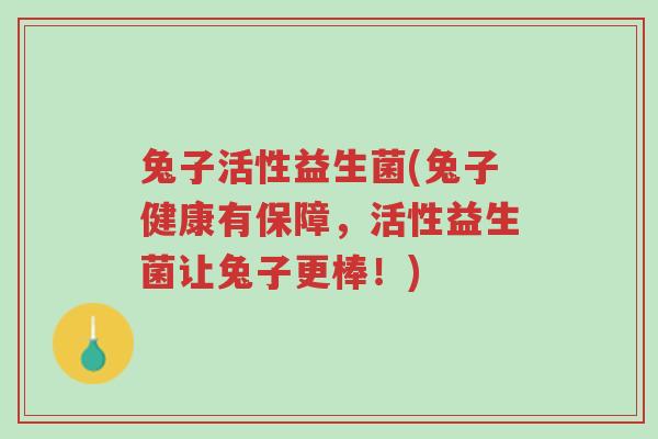 兔子活性益生菌(兔子健康有保障,活性益生菌让兔子更棒!)-第1张图片-超越 兔子活性益生菌(兔子健康有保障,活性益生菌让兔子更棒!)-第1张图片-超越