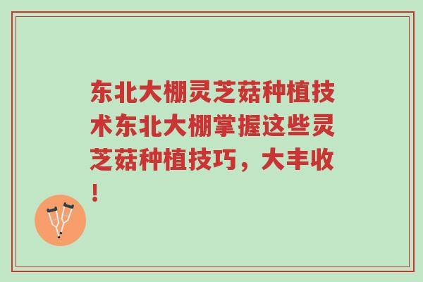 东北大棚灵芝菇种植技术东北大棚掌握这些灵芝菇种植技巧,大丰收!-第1张图片-超越 东北大棚灵芝菇种植技术东北大棚掌握这些灵芝菇种植技巧,大丰收!-第1张图片-超越