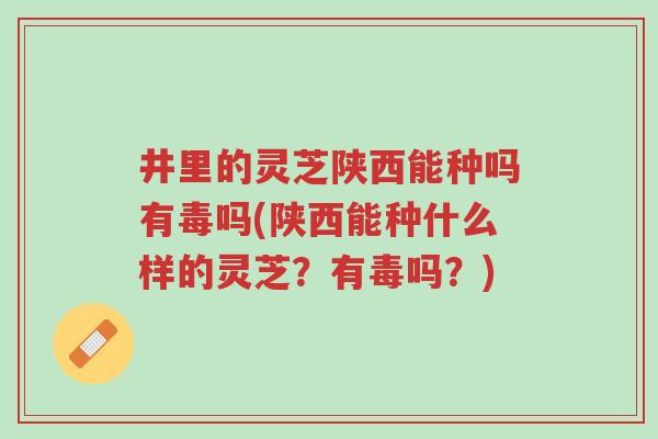 井里的灵芝陕西能种吗有毒吗(陕西能种什么样的灵芝?有毒吗?)-第1张图片-超越 井里的灵芝陕西能种吗有毒吗(陕西能种什么样的灵芝?有毒吗?)-第1张图片-超越