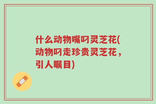 什么动物嘴叼灵芝花(动物叼走珍贵灵芝花,引人瞩目)-第1张图片-超越 什么动物嘴叼灵芝花(动物叼走珍贵灵芝花,引人瞩目)-第1张图片-超越