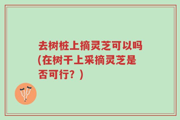 去树桩上摘灵芝可以吗(在树干上采摘灵芝是否可行？)-第1张图片-超越