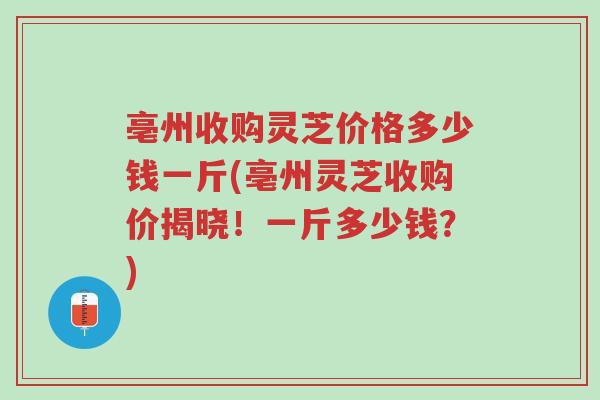 亳州收购灵芝价格多少钱一斤(亳州灵芝收购价揭晓!一斤多少钱?)-第1张图片-超越 亳州收购灵芝价格多少钱一斤(亳州灵芝收购价揭晓!一斤多少钱?)-第1张图片-超越