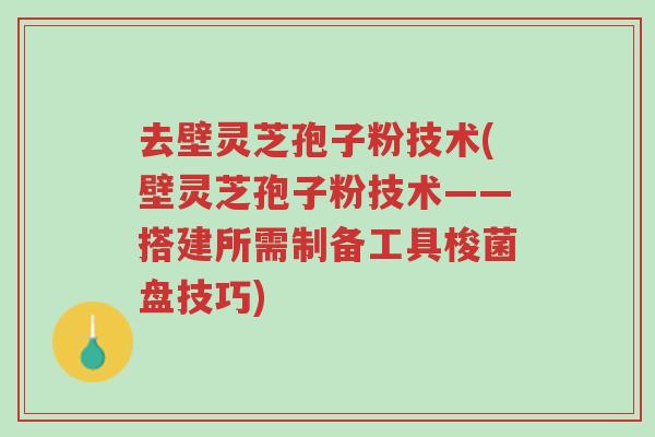 去壁灵芝孢子粉技术(壁灵芝孢子粉技术——搭建所需制备工具梭菌盘技巧)-第1张图片-超越 去壁灵芝孢子粉技术(壁灵芝孢子粉技术——搭建所需制备工具梭菌盘技巧)-第1张图片-超越