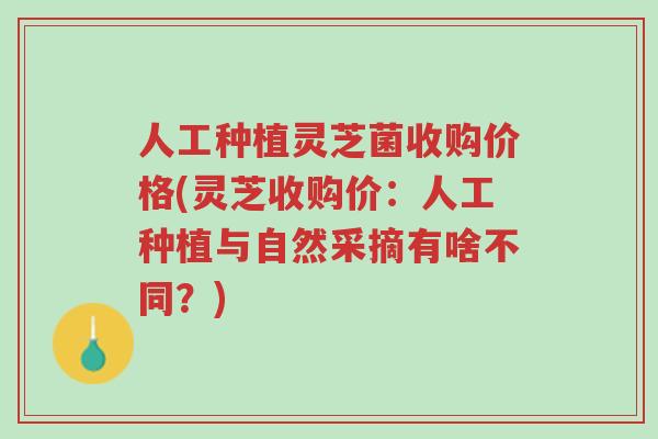 人工种植灵芝菌收购价格(灵芝收购价:人工种植与自然采摘有啥不同?)-第1张图片-超越 人工种植灵芝菌收购价格(灵芝收购价:人工种植与自然采摘有啥不同?)-第1张图片-超越