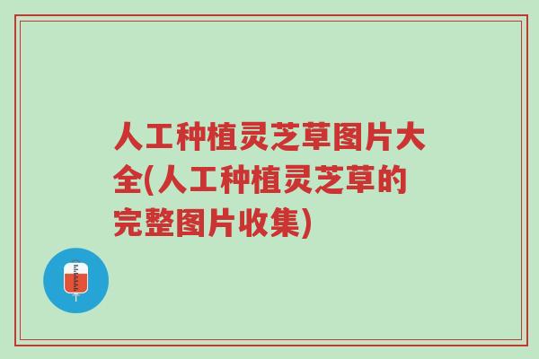 人工种植灵芝草图片大全(人工种植灵芝草的完整图片收集)-第1张图片-超越 人工种植灵芝草图片大全(人工种植灵芝草的完整图片收集)-第1张图片-超越