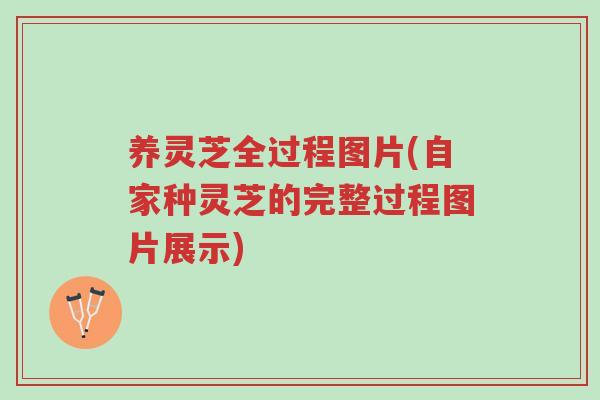 养灵芝全过程图片(自家种灵芝的完整过程图片展示)-第1张图片-超越 养灵芝全过程图片(自家种灵芝的完整过程图片展示)-第1张图片-超越