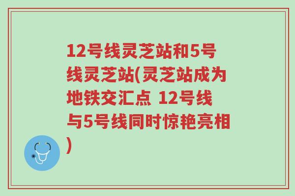 12号线灵芝站和5号线灵芝站(灵芝站成为地铁交汇点 12号线与5号线同时惊艳亮相)-第1张图片-超越 12号线灵芝站和5号线灵芝站(灵芝站成为地铁交汇点 12号线与5号线同时惊艳亮相)-第1张图片-超越