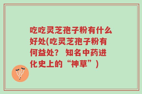 吃吃灵芝孢子粉有什么好处(吃灵芝孢子粉有何益处? 知名中药进化史上的“神草”)-第1张图片-超越 吃吃灵芝孢子粉有什么好处(吃灵芝孢子粉有何益处? 知名中药进化史上的“神草”)-第1张图片-超越