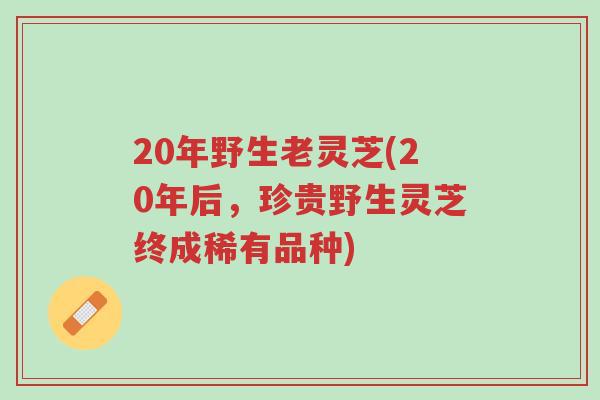 20年野生老灵芝(20年后,珍贵野生灵芝终成稀有品种)-第1张图片-超越 20年野生老灵芝(20年后,珍贵野生灵芝终成稀有品种)-第1张图片-超越