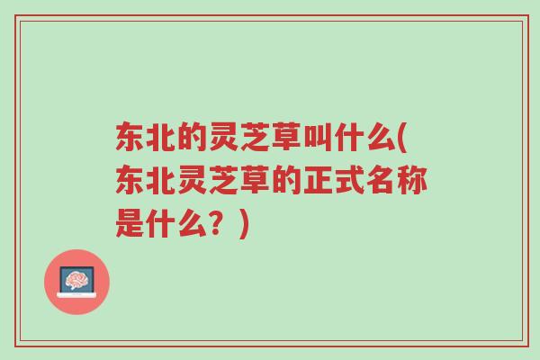 东北的灵芝草叫什么(东北灵芝草的正式名称是什么?)-第1张图片-超越 东北的灵芝草叫什么(东北灵芝草的正式名称是什么?)-第1张图片-超越