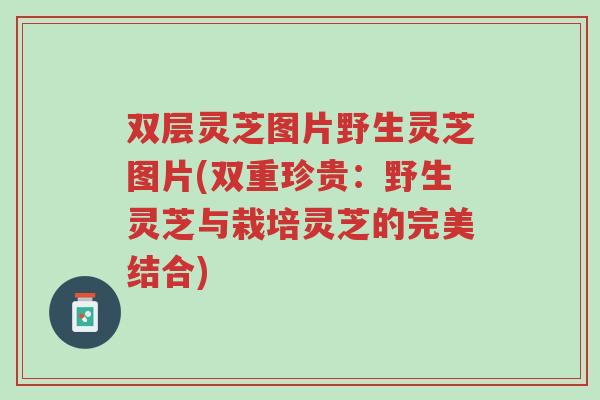 双层灵芝图片野生灵芝图片(双重珍贵:野生灵芝与栽培灵芝的完美结合)-第1张图片-超越 双层灵芝图片野生灵芝图片(双重珍贵:野生灵芝与栽培灵芝的完美结合)-第1张图片-超越