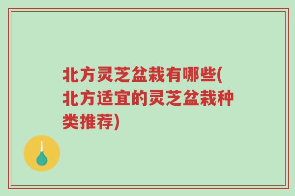 北方灵芝盆栽有哪些(北方适宜的灵芝盆栽种类推荐)-第1张图片-超越