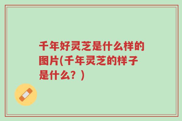 千年好灵芝是什么样的图片(千年灵芝的样子是什么?)-第1张图片-超越 千年好灵芝是什么样的图片(千年灵芝的样子是什么?)-第1张图片-超越