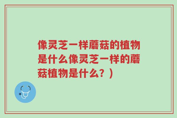 像灵芝一样蘑菇的植物是什么像灵芝一样的蘑菇植物是什么?)-第1张图片-超越 像灵芝一样蘑菇的植物是什么像灵芝一样的蘑菇植物是什么?)-第1张图片-超越