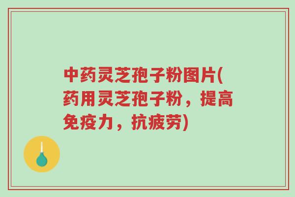 中药灵芝孢子粉图片(药用灵芝孢子粉,提高免疫力,抗疲劳)-第1张图片-超越 中药灵芝孢子粉图片(药用灵芝孢子粉,提高免疫力,抗疲劳)-第1张图片-超越