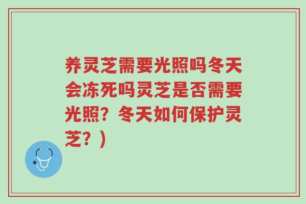 养灵芝需要光照吗冬天会冻死吗灵芝是否需要光照?冬天如何保护灵芝?)-第1张图片-超越 养灵芝需要光照吗冬天会冻死吗灵芝是否需要光照?冬天如何保护灵芝?)-第1张图片-超越