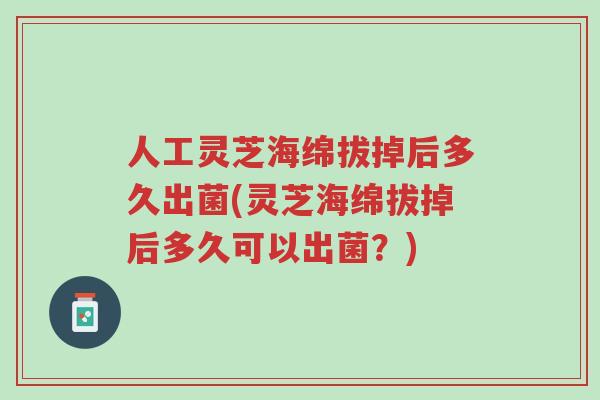 人工灵芝海绵拔掉后多久出菌(灵芝海绵拔掉后多久可以出菌?)-第1张图片-超越 人工灵芝海绵拔掉后多久出菌(灵芝海绵拔掉后多久可以出菌?)-第1张图片-超越