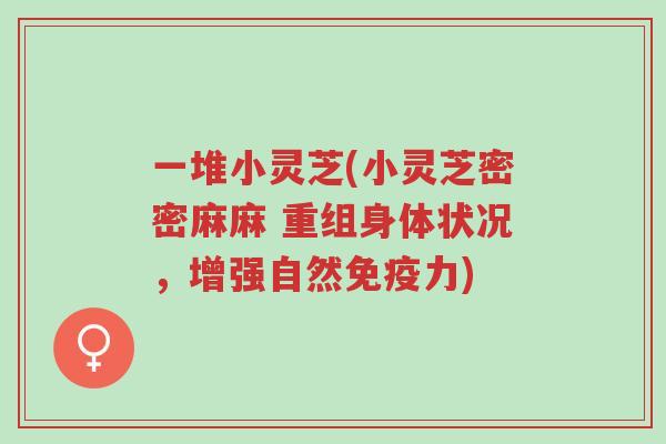 一堆小灵芝(小灵芝密密麻麻 重组身体状况,增强自然免疫力)-第1张图片-超越 一堆小灵芝(小灵芝密密麻麻 重组身体状况,增强自然免疫力)-第1张图片-超越