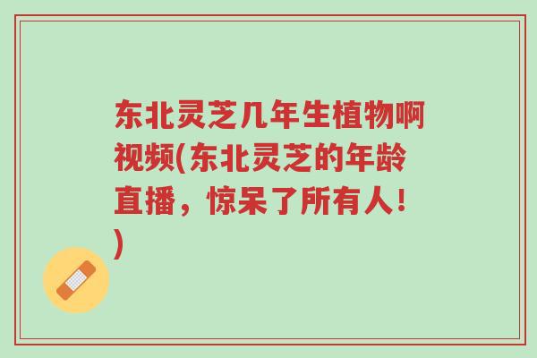 东北灵芝几年生植物啊视频(东北灵芝的年龄直播,惊呆了所有人!)-第1张图片-超越 东北灵芝几年生植物啊视频(东北灵芝的年龄直播,惊呆了所有人!)-第1张图片-超越