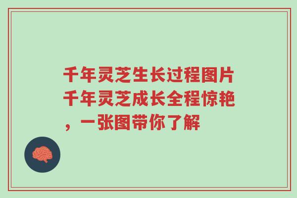 千年灵芝生长过程图片千年灵芝成长全程惊艳，一张图带你了解-第1张图片-超越