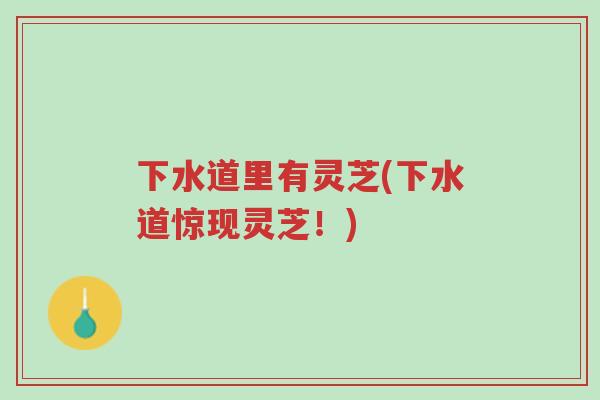 下水道里有灵芝(下水道惊现灵芝!)-第1张图片-超越 下水道里有灵芝(下水道惊现灵芝!)-第1张图片-超越