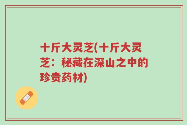 十斤大灵芝(十斤大灵芝:秘藏在深山之中的珍贵药材)-第1张图片-超越 十斤大灵芝(十斤大灵芝:秘藏在深山之中的珍贵药材)-第1张图片-超越