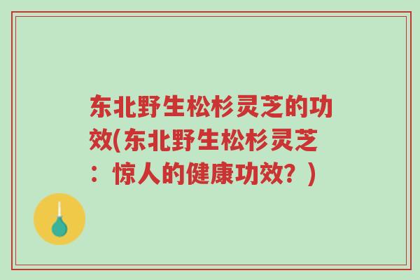 东北野生松杉灵芝的功效(东北野生松杉灵芝:惊人的健康功效?)-第1张图片-超越 东北野生松杉灵芝的功效(东北野生松杉灵芝:惊人的健康功效?)-第1张图片-超越