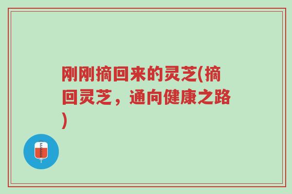 刚刚摘回来的灵芝(摘回灵芝,通向健康之路)-第1张图片-超越 刚刚摘回来的灵芝(摘回灵芝,通向健康之路)-第1张图片-超越