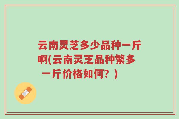 云南灵芝多少品种一斤啊(云南灵芝品种繁多 一斤价格如何?)-第1张图片-超越 云南灵芝多少品种一斤啊(云南灵芝品种繁多 一斤价格如何?)-第1张图片-超越