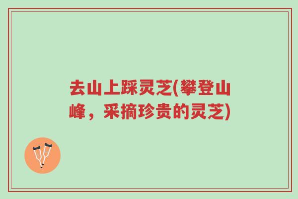 去山上踩灵芝(攀登山峰,采摘珍贵的灵芝)-第1张图片-超越 去山上踩灵芝(攀登山峰,采摘珍贵的灵芝)-第1张图片-超越