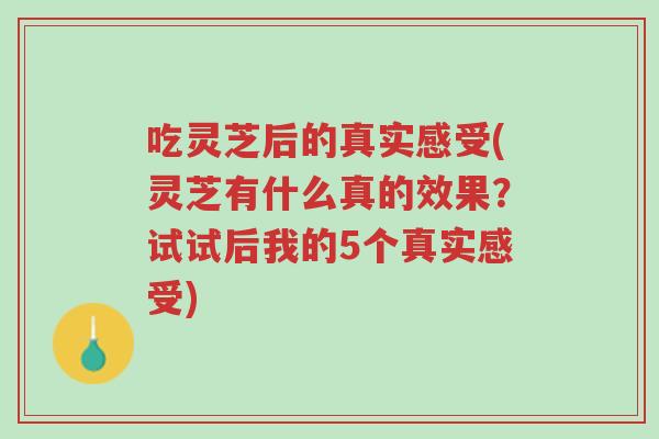 吃灵芝后的真实感受(灵芝有什么真的效果?试试后我的5个真实感受)-第1张图片-超越 吃灵芝后的真实感受(灵芝有什么真的效果?试试后我的5个真实感受)-第1张图片-超越